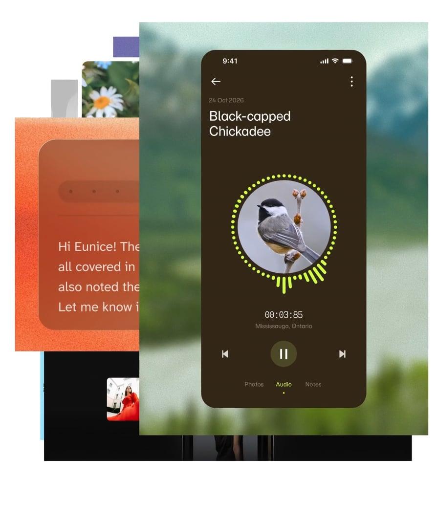 Audio player interface